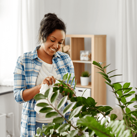 5 Ways to Celebrate National Houseplant Appreciation Day