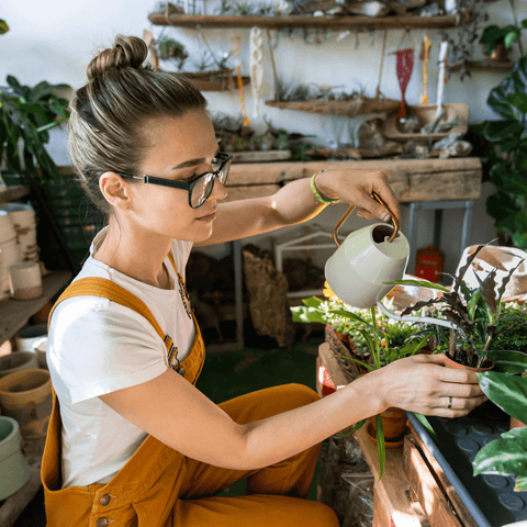 10 Low-Maintenance Indoor Plants for Busy Plant Lovers