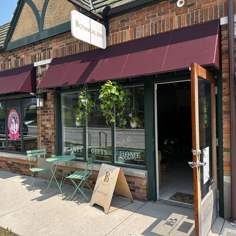 Best Plant Nurseries Near Me: Why Locals Love The Botanical Bar