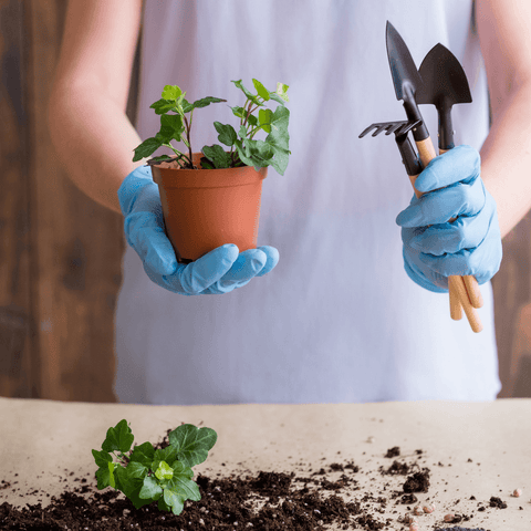 The Repot Spot is Officially Open!