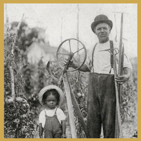 Black History Rooted in Plants: Horticulturalist Henry Kirklin