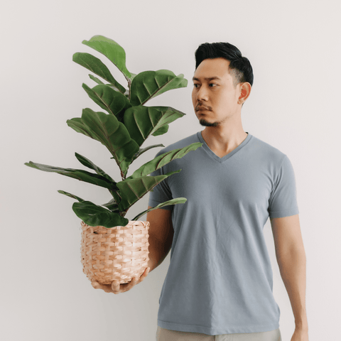 Four Plants Dad Will Love for Father's Day