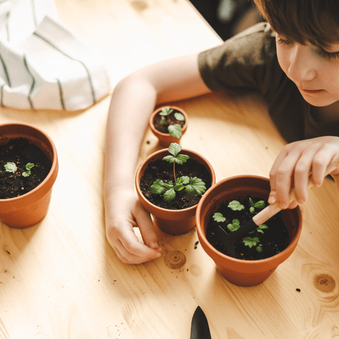 Greening The Planet: Creative Ways To Celebrate Earth Day
