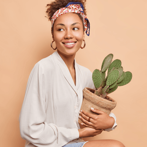 National Houseplant Appreciation Day 2022 - Instagram Giveaway