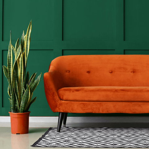Plant Therapy: How Plants Can Help Nourish Your Mind, Body And Soul