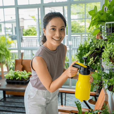 The Benefits of Neem Oil for Indoor Plants