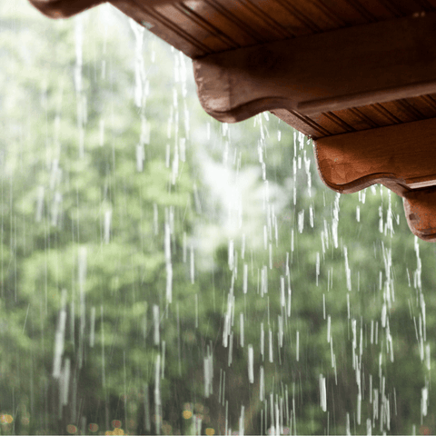 The Benefits of Rainwater for Indoor Houseplants: A Natural Elixir for Optimal Growth