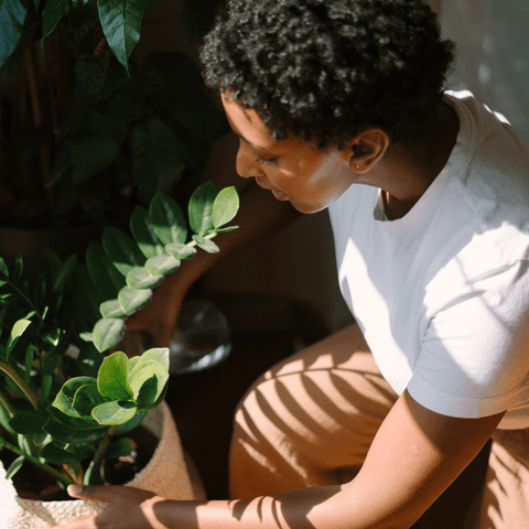 The Joy Of Plant Parenting: Unlock The Benefits Of Caring For Houseplants