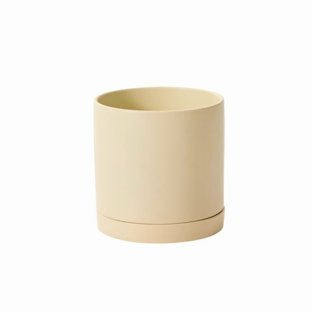 large cream ceramic plant pots Cream Beige Ceramic Planter 7"