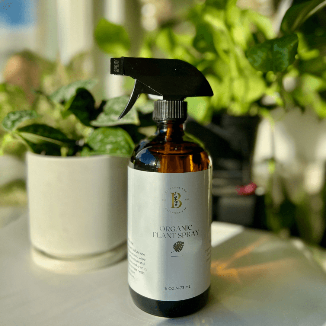 house plant spray Organic Houseplant Care Spray