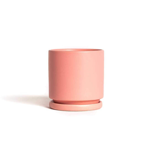 Bubblegum