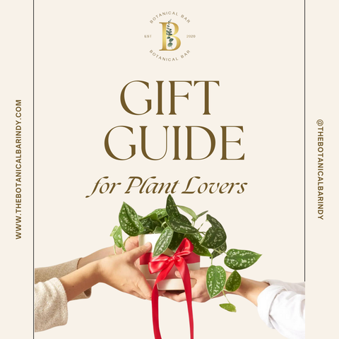 The Ultimate Gift Guide for Plant Lovers: Our Top Picks for 2024