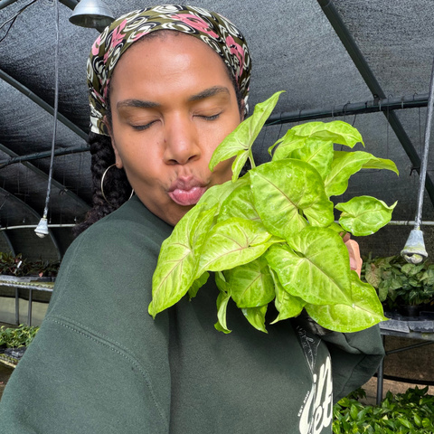 What Running a Plant Shop Has Taught Me
