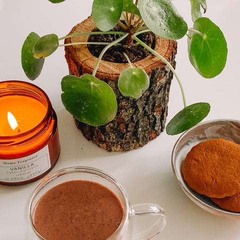 6 Fall Care Tips Your Houseplants Need Right Now