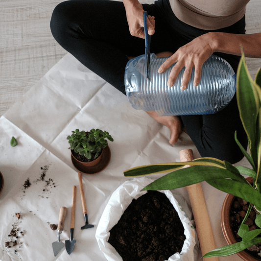 8 Houseplant Trends on the Rise in 2023, According to the Pros