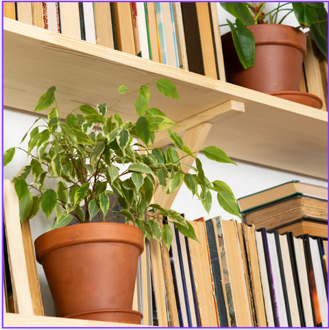 A New Holiday Tradition Blooms at The Botanical Bar