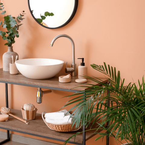 Best Plants for Your Bathroom - Houseplant Ideas