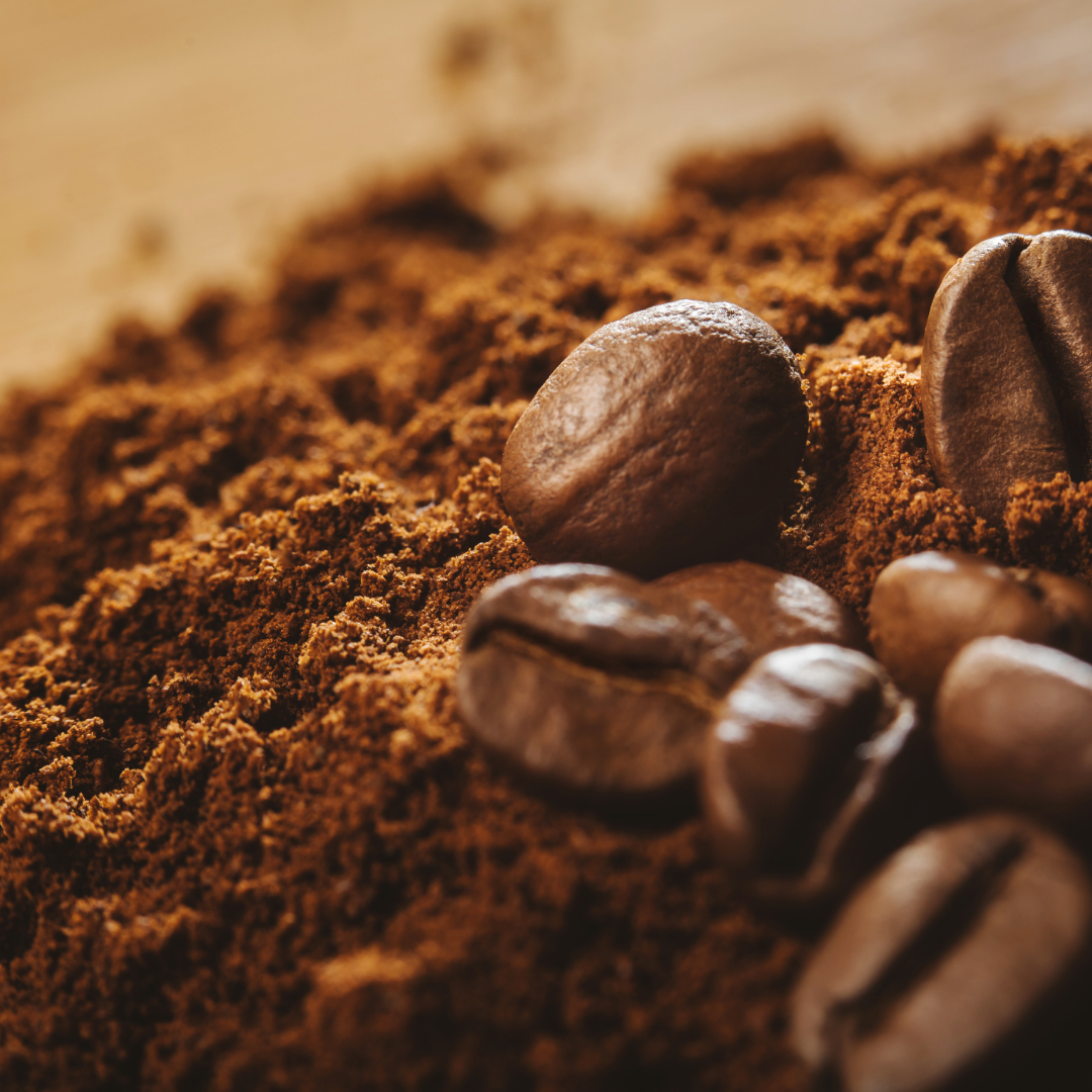 Brewing Growth: How to Harness Coffee Grounds for Thriving Houseplants ...