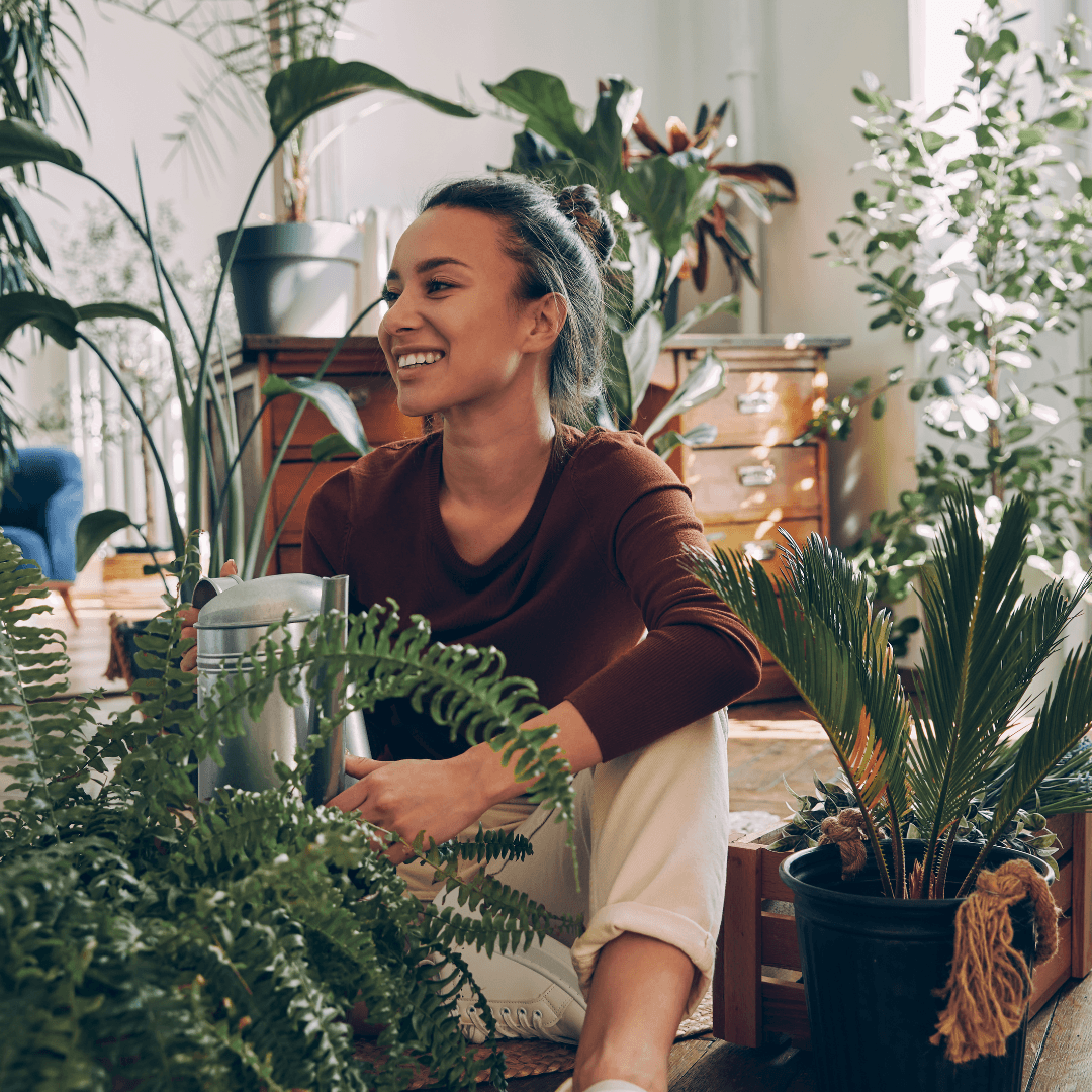 Bring Nature Indoors: Use Houseplants To Purify Your Air