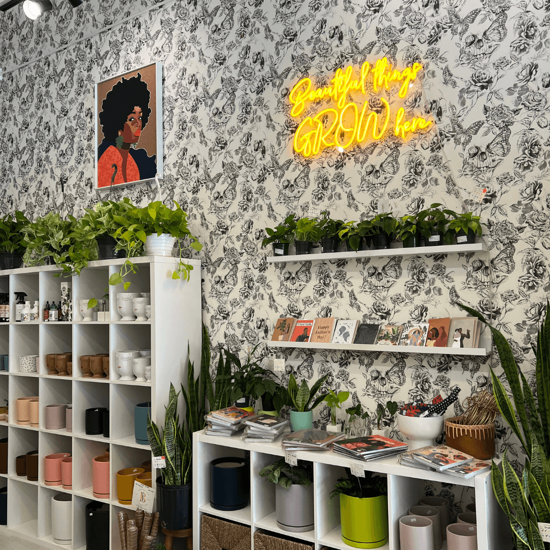 Discover the Best Place to Buy Indoor Plants in Indianapolis The