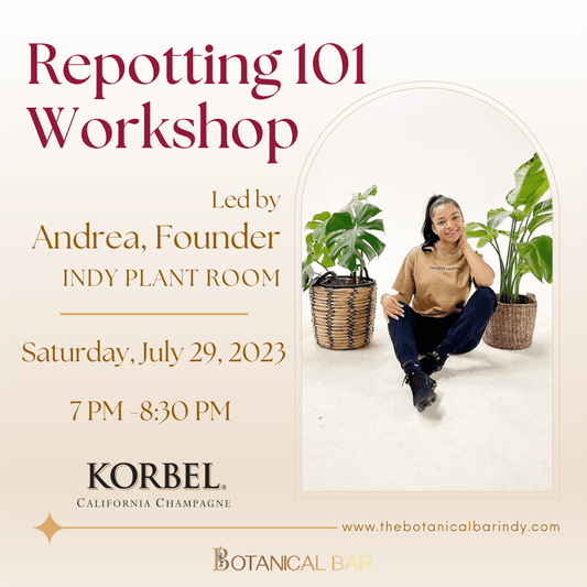 Dive into Plant Care with Our Repotting 101 Workshop