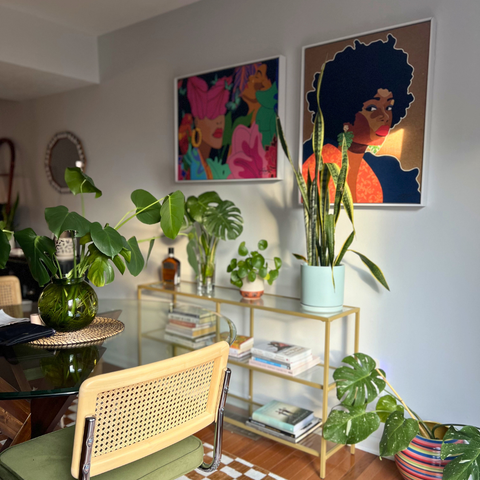 5 Houseplants Perfect for Beginners (That Are Actually Hard to Kill)