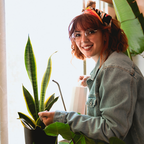 Gifts That Grow: Unwrapping a Year of Botanical Bliss with Our Monthly Plant Subscription