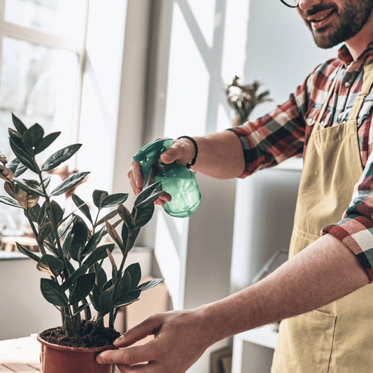 How To Use Neem Oil on Houseplants