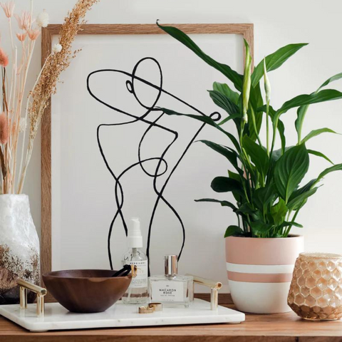 How to Care for Your Peace Lily (Spathiphyllum)