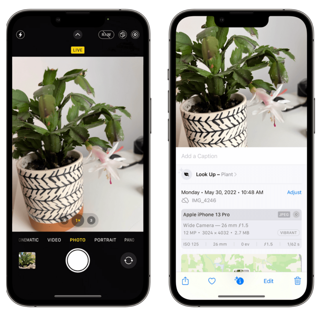 How To Identify Any Plant On Your IPhone The Botanical Bar How to identify any plant on your iphone the botanical bar