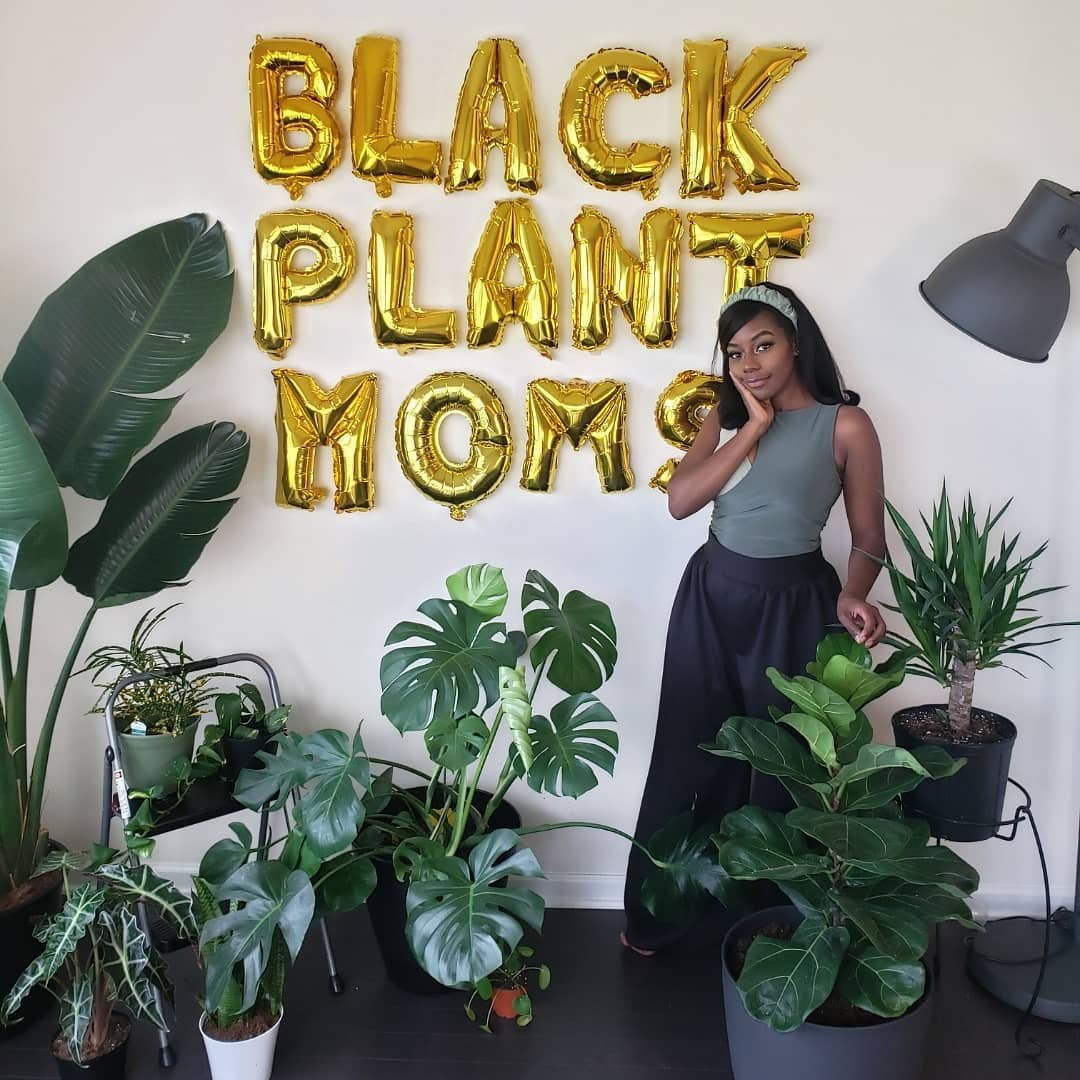 5 Black Plant Influencers To Follow On Instagram