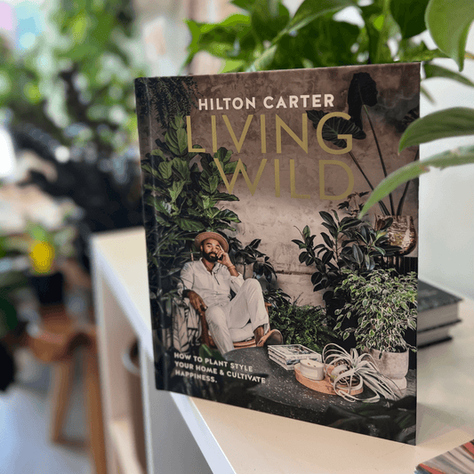 Living Wild by Hilton Carter: Cultivating Happiness with Indoor Plants
