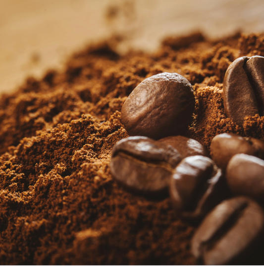 Maximizing Plant Growth: 6 Smart Ways to Utilize Used Coffee Grounds