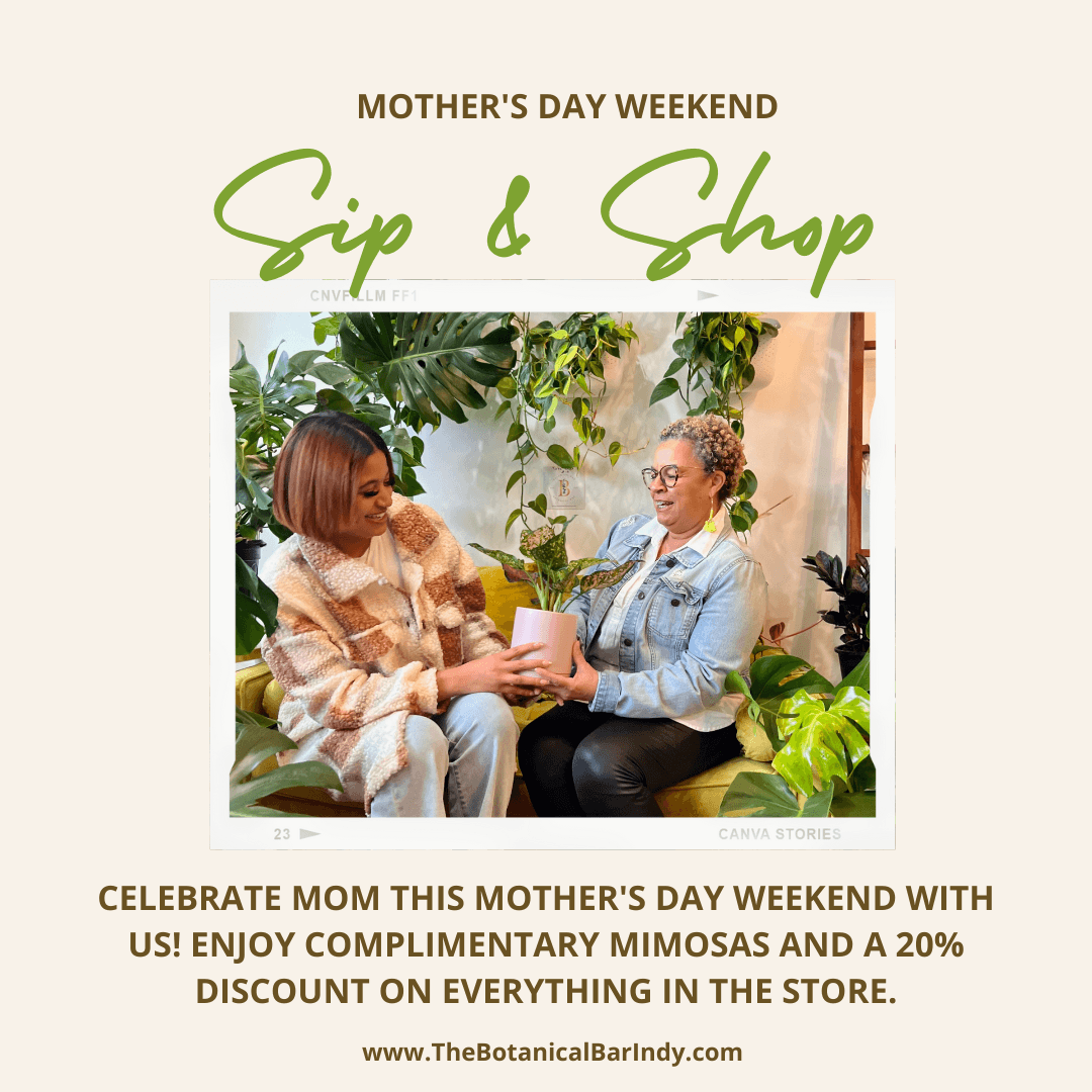 Celebrate Mother's Day in Store