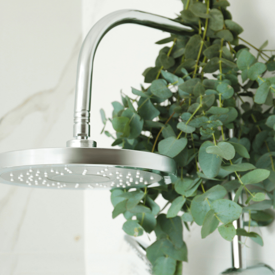 The Benefits Of Hanging Eucalyptus In Your Shower