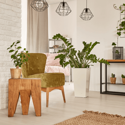 The Green Guardians: Top 5 Indoor Houseplants to Elevate Your Space