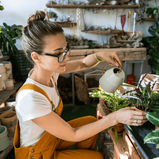 The Healing Power of Plants: How Houseplants and Office Plants Can Support Your Mental Health