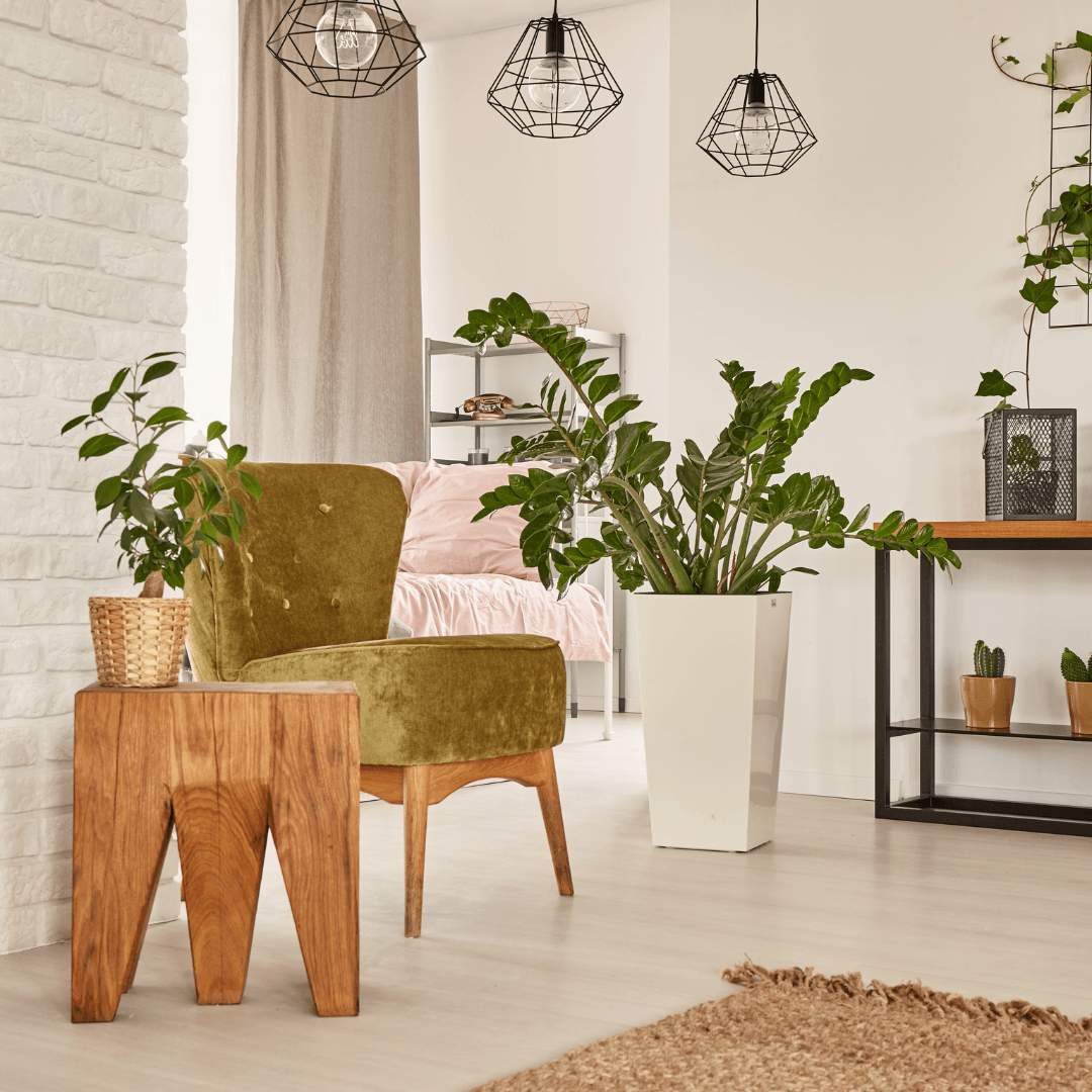 Upgrade Your Home with Houseplants
