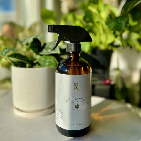Why Every Plant Parent Needs The Botanical Bar's Organic Plant Care Spray