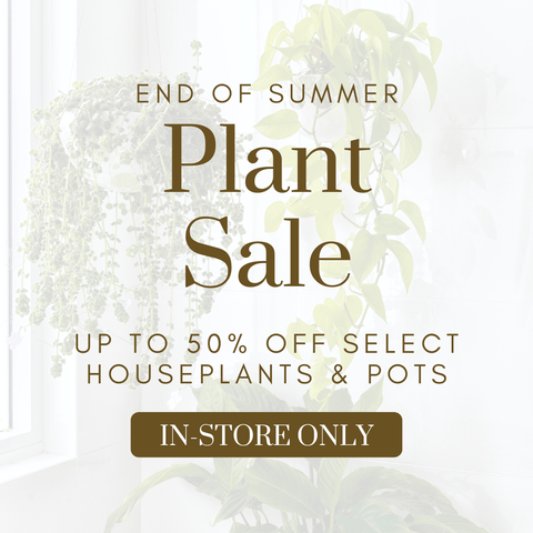 End of Summer Plant Sale