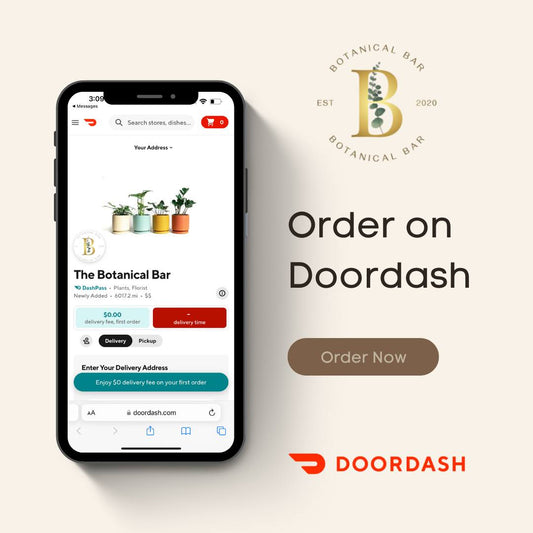 Bring Nature Into Your Home with DoorDash