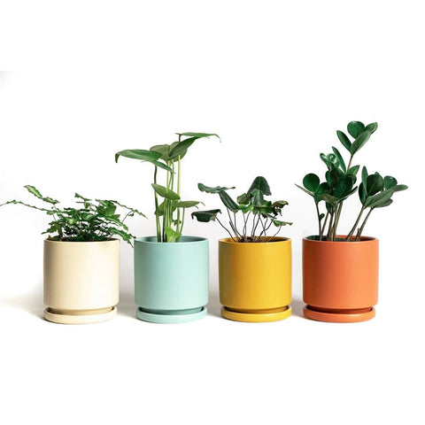 a collection of colorful planters with 