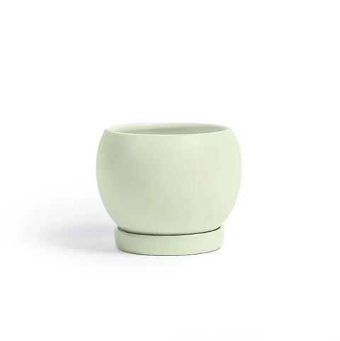 cylinder planter with saucer 4" Gemstone Cylinder Planter + Saucer