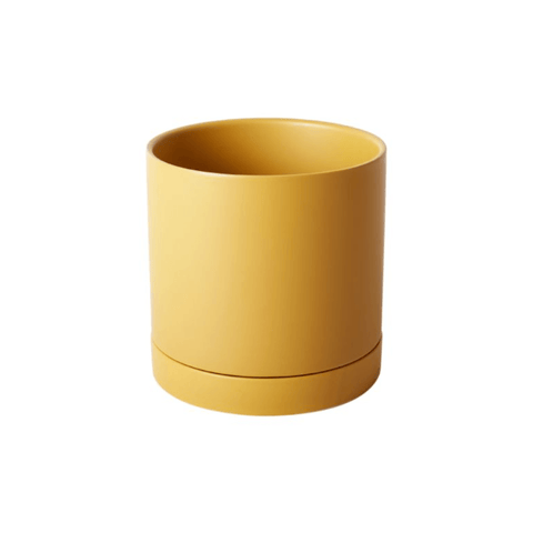 Mustard Yellow Ceramic Planter