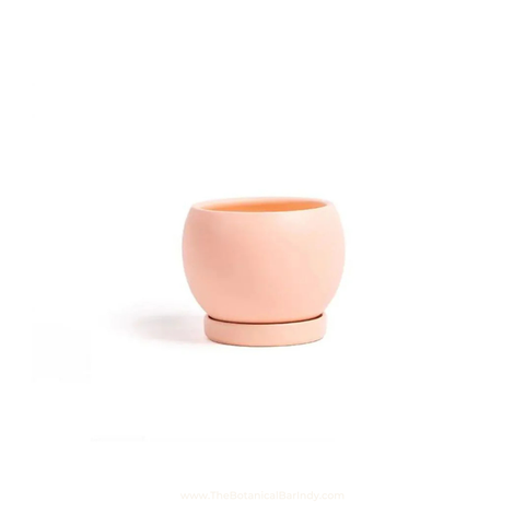 4" Gemstone Cylinder Planter + Saucer