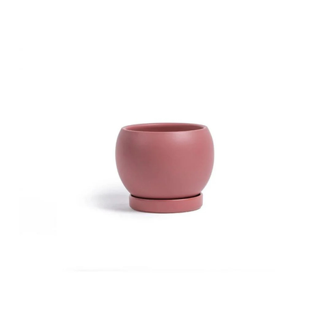 6" Gemstone Cylinder Planter + Saucer