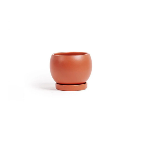 6" Gemstone Cylinder Planter + Saucer