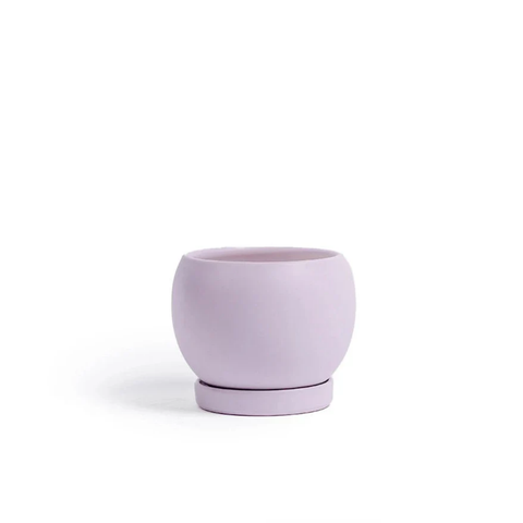 6" Gemstone Cylinder Planter + Saucer