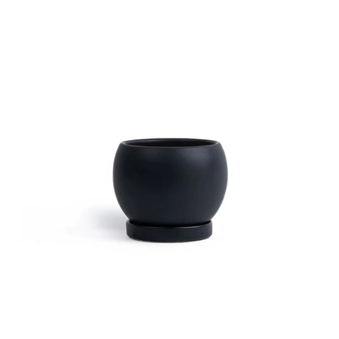 6" Gemstone Cylinder Planter + Saucer