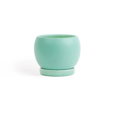 6" Gemstone Cylinder Planter + Saucer